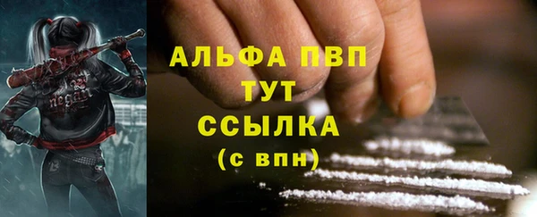 бошки Инта