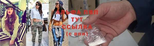 стафф Иннополис