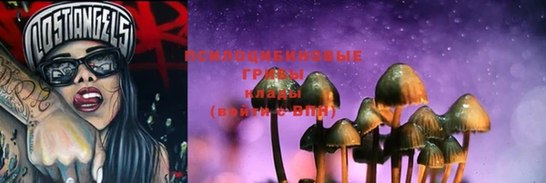 стафф Иннополис