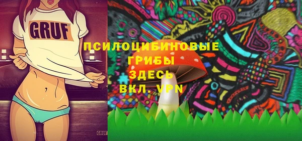шишки Каменка