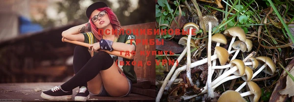 стафф Иннополис