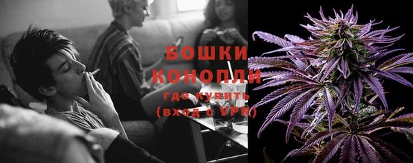 бошки Инта